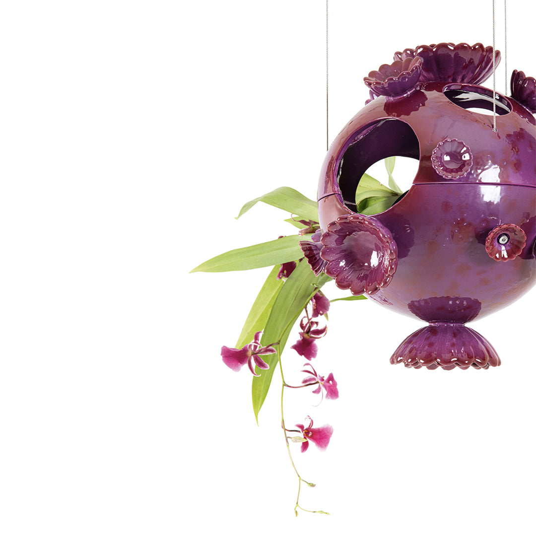 Marimo - Ceiling Vase