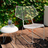 Alieno Peacock - Chair