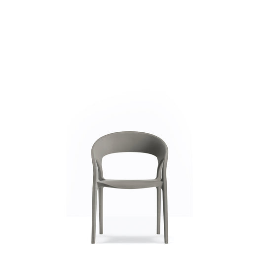 Gossip - Dining Chair