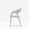 Gossip - Dining Chair