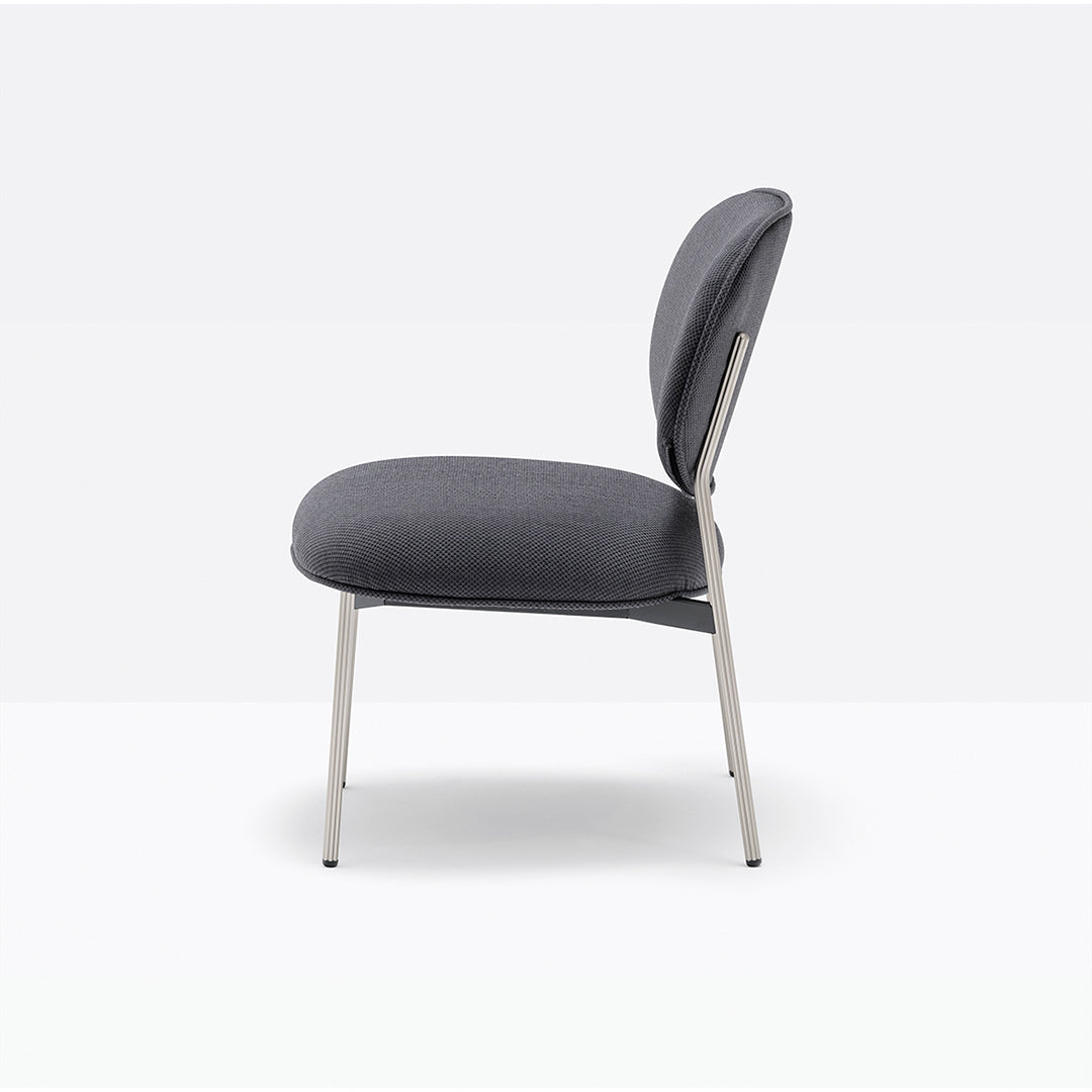Blume - Dining Chair