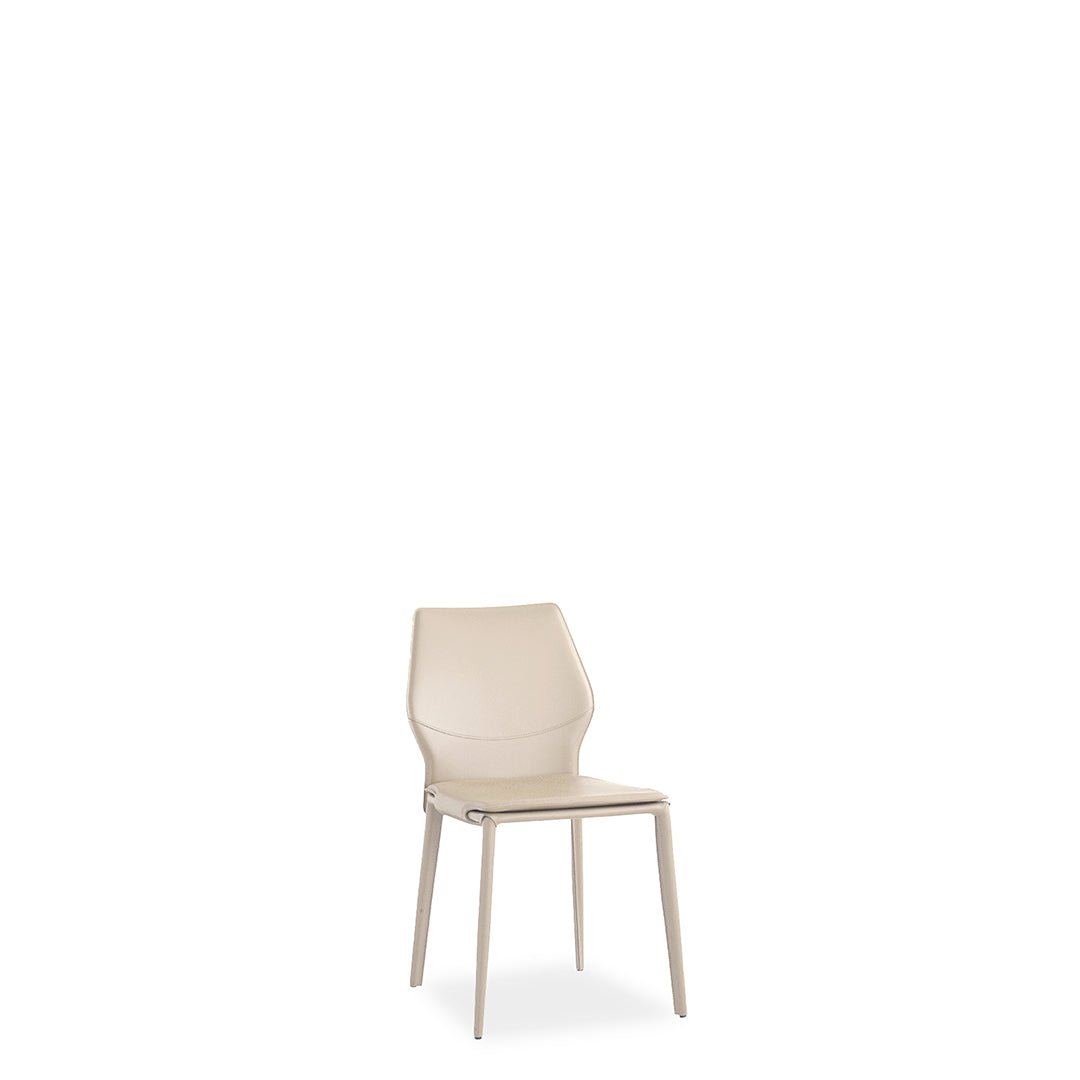 Wind - Dining Chair