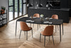 Charlotte Suspension - Ceiling Lamp