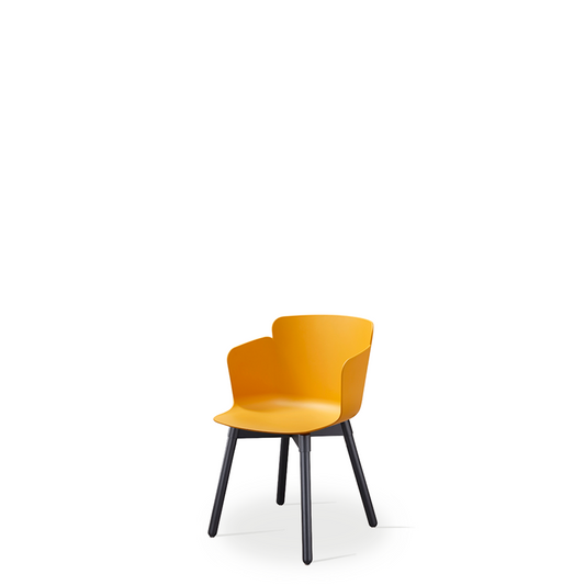 Calla  - Chair