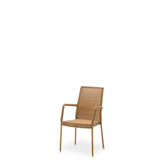 Newman Armrest - Dining Chair