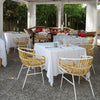Raphia Rattan - Chair Chair
