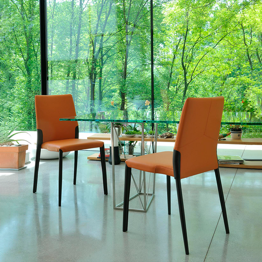 Ypsilon - Side Chair