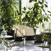 Colony - Armchair