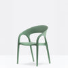 Gossip - Dining Chair