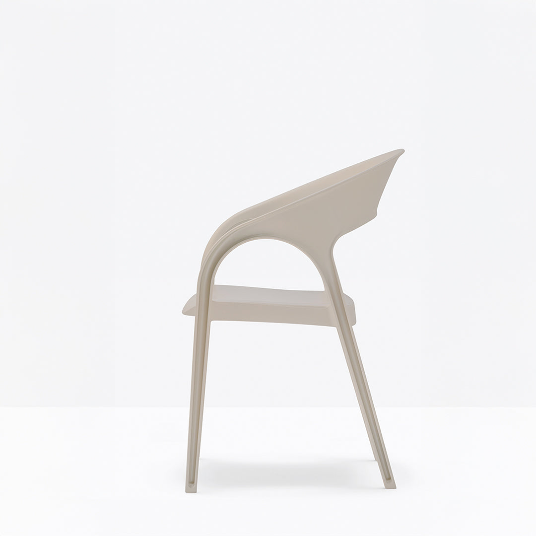 Gossip - Dining Chair